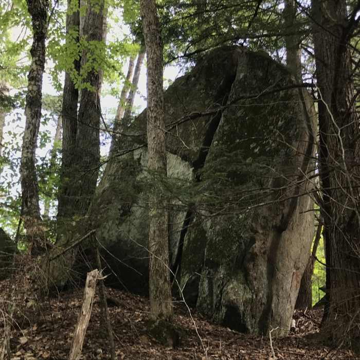 Near Sunapee-Ragged-Kearsarge Greenway: Section 4