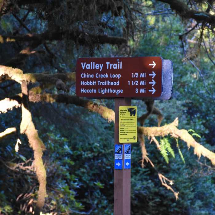 Near Heceta Head Trail