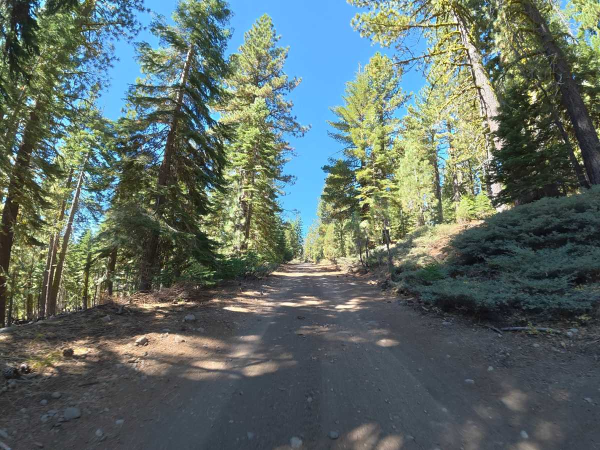 FS 6N08 North trail photo