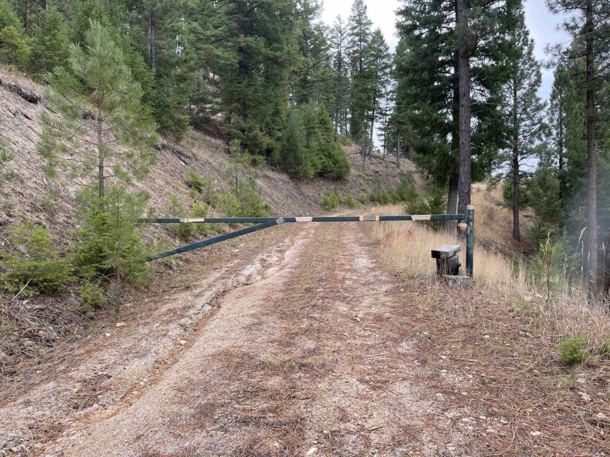 Lower Pierce Creek photo 2