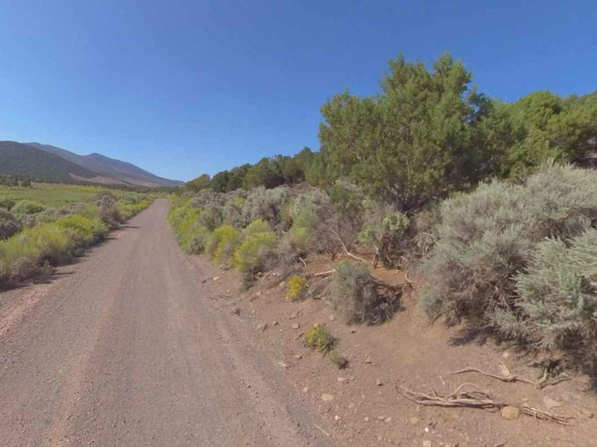 Bear Valley Road - CR 1036d photo 4