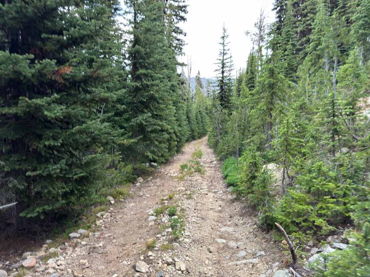 Skalkaho - St. Clair trail photo