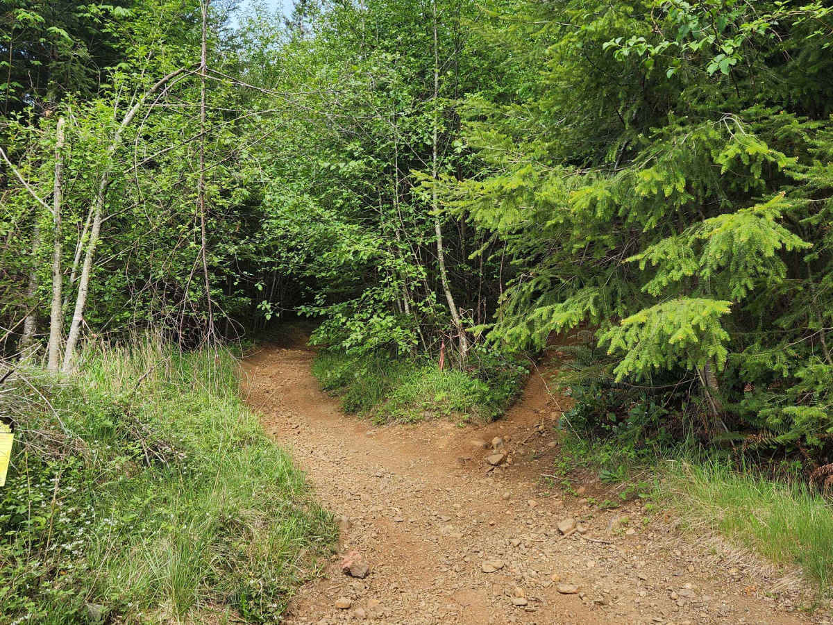 Divide Trail North trail photo