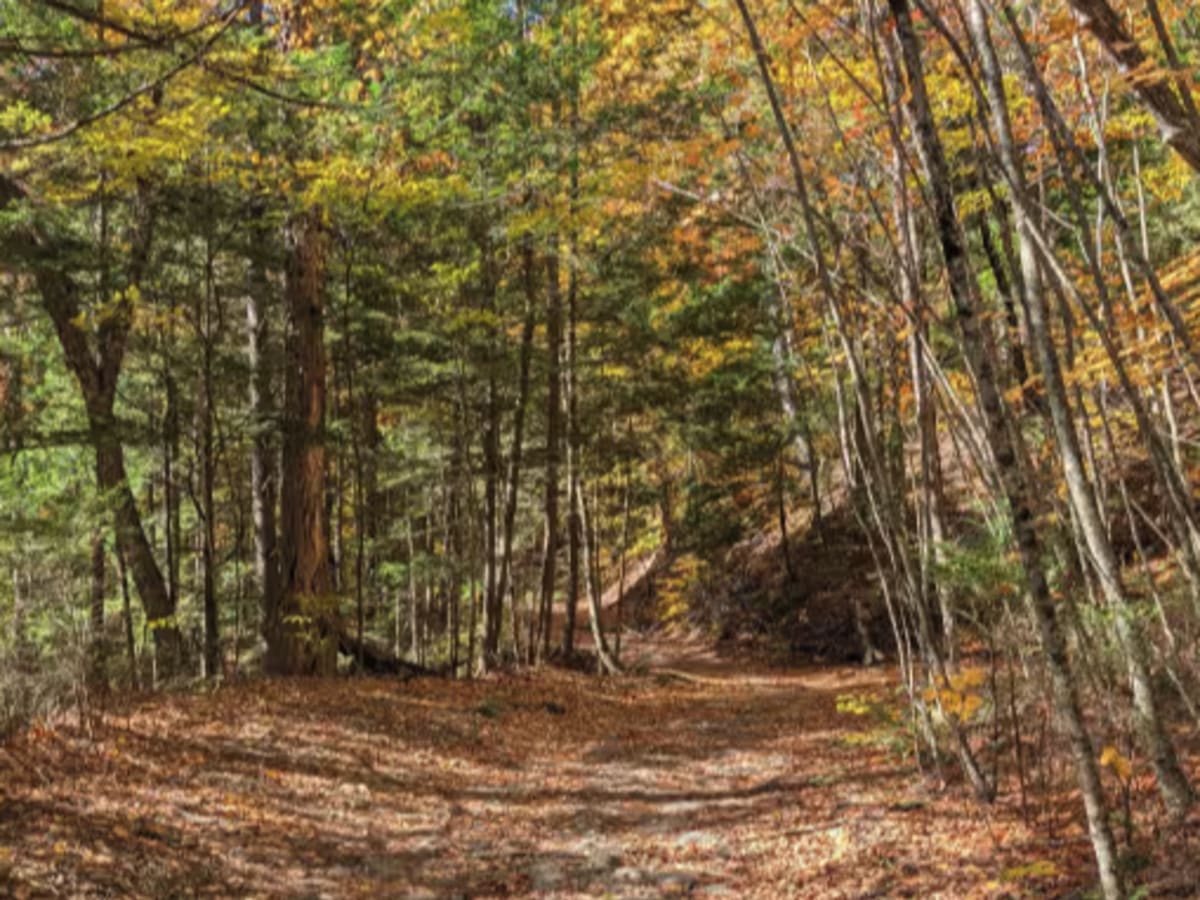 Big Hollow Road photo 4