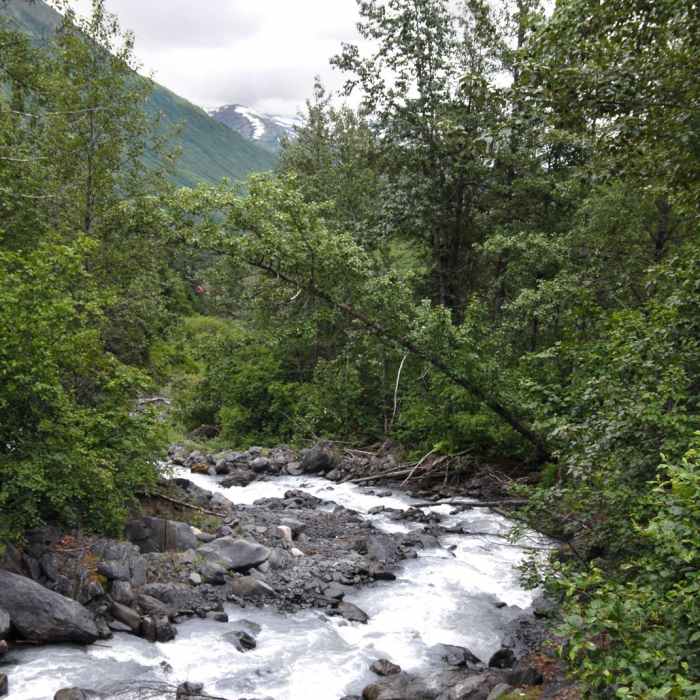 Near Crow Pass / Eagle River Trail - Iditarod National Historic Trail