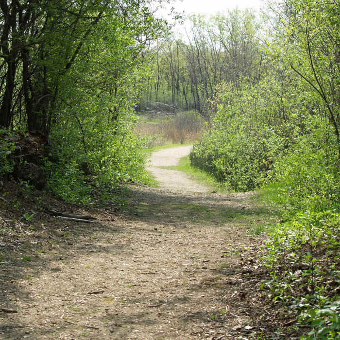 Hollows Conservation Area - Photo courtesy of McHenry County Conservation District Near Hollows Conservation Area