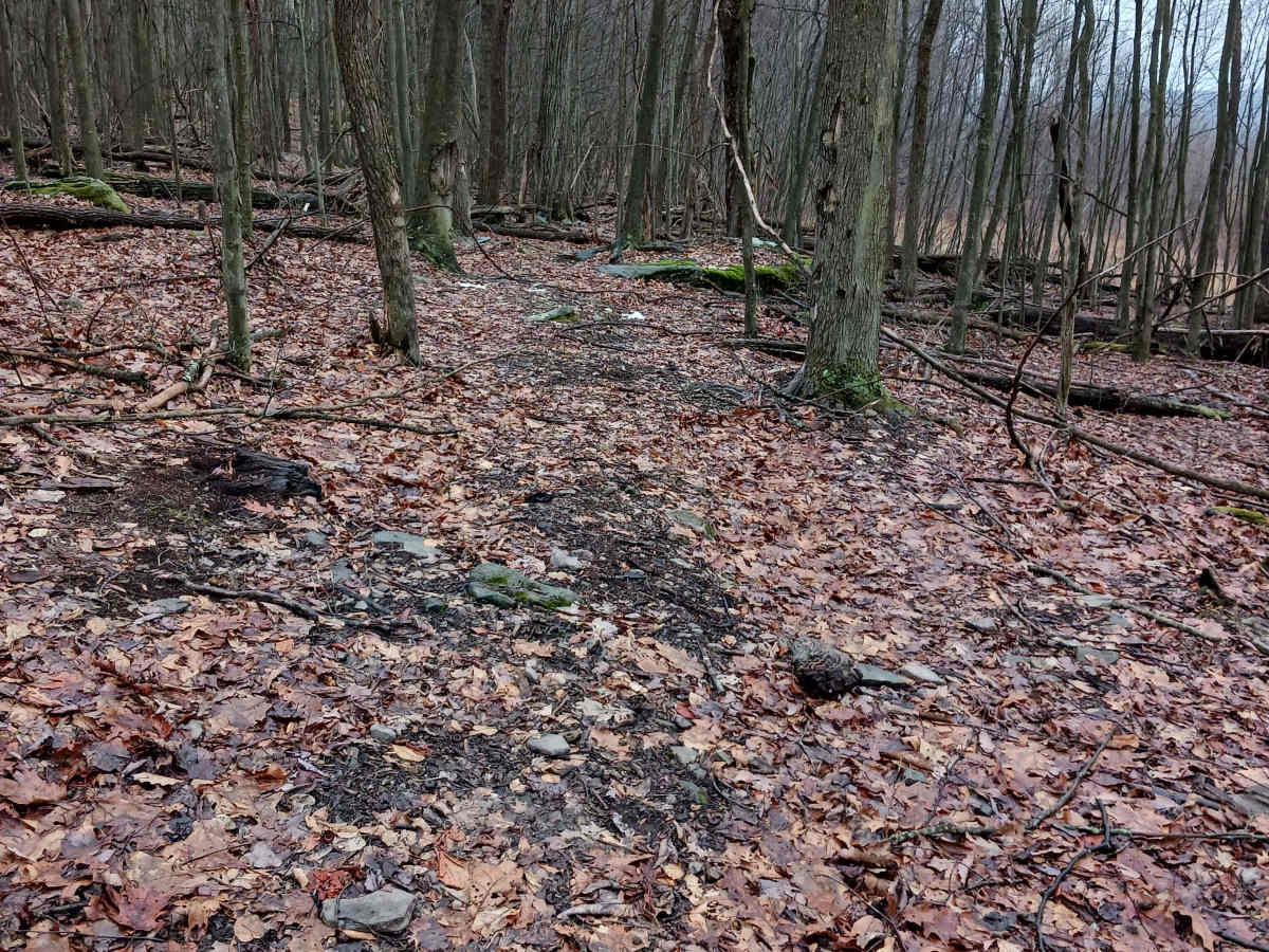 OHV 46 - Rock Run Recreation Area photo 5