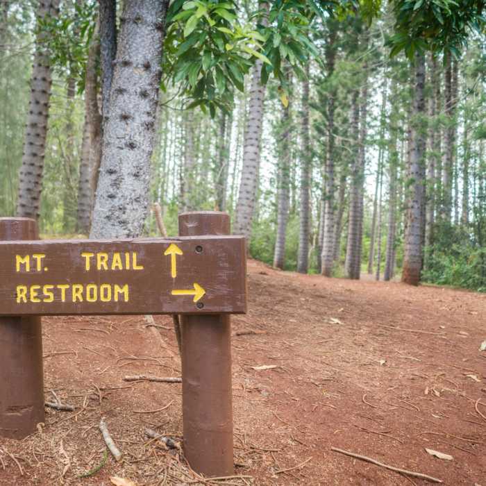 Near Mount Olympus / AwAwaloa Near Mount Olympus / AwAwaloa