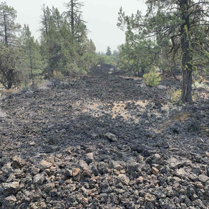 Near Spatter Cone Loop Trail