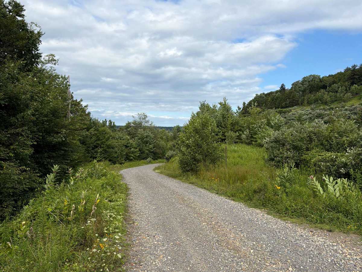 South Fork Cherry Road photo 5