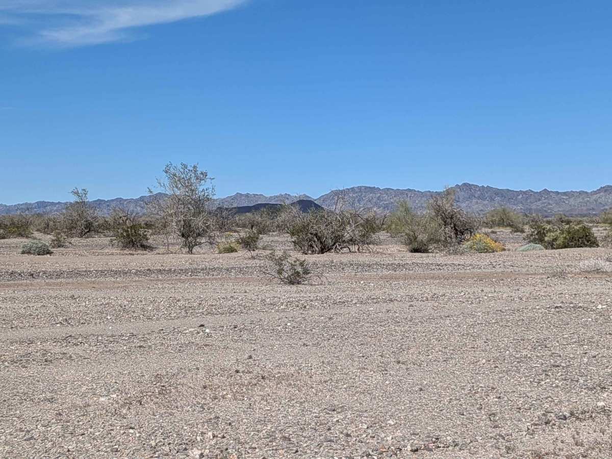 BLM 617 trail photo