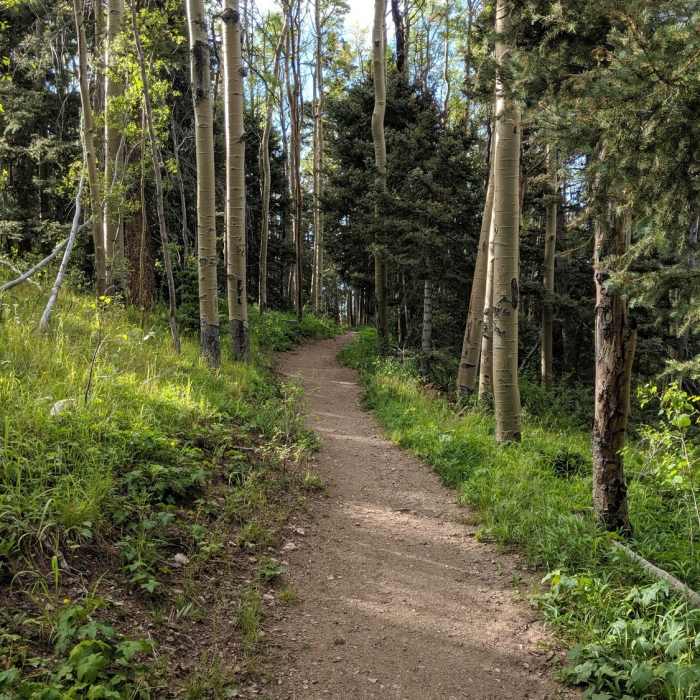 Near Norski Trail