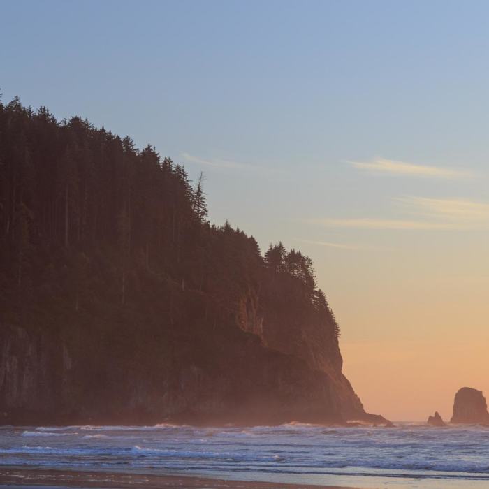 Near Cape Meares Big Spruce + Beach Trail