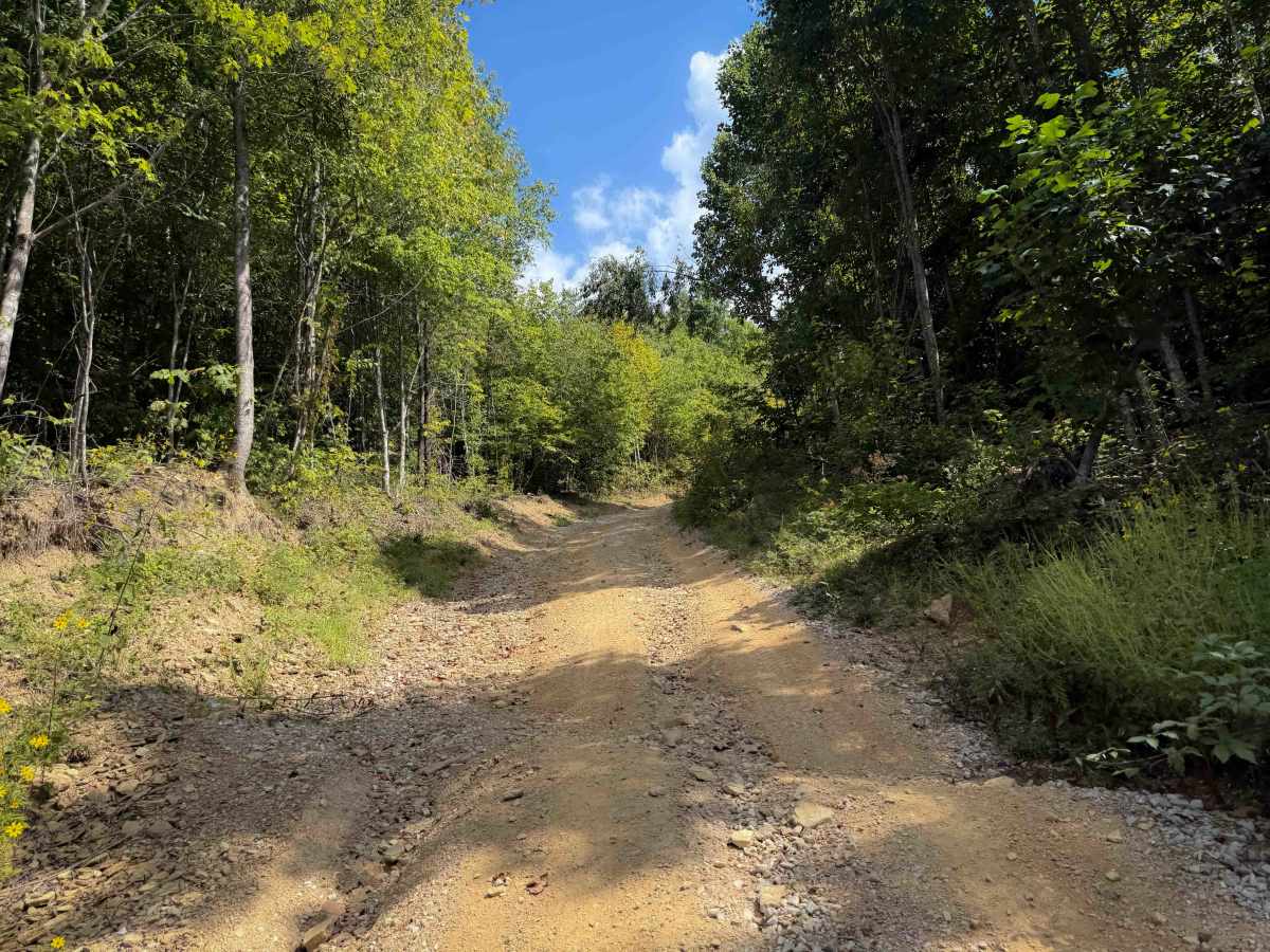 Shack Creek Trail photo 2