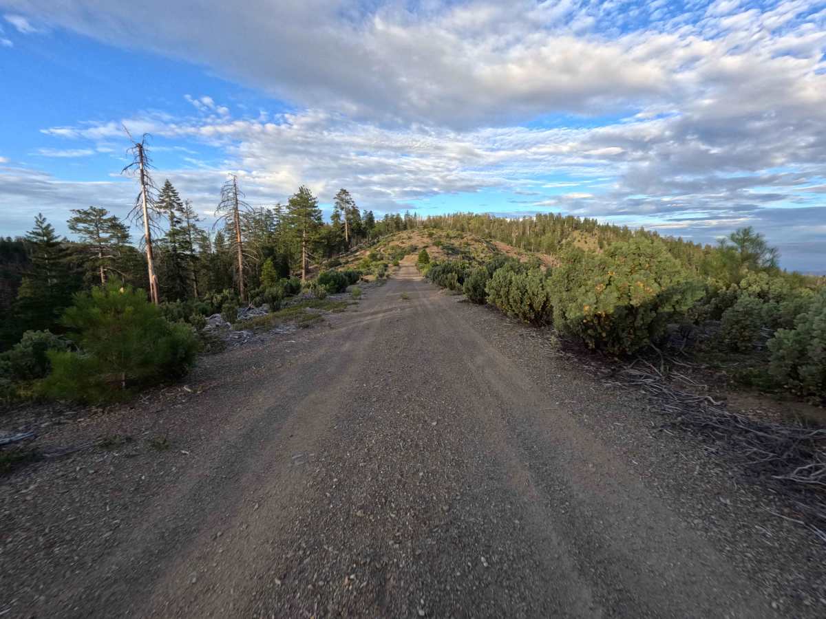 Felkner Hill - FS 19N04 trail photo