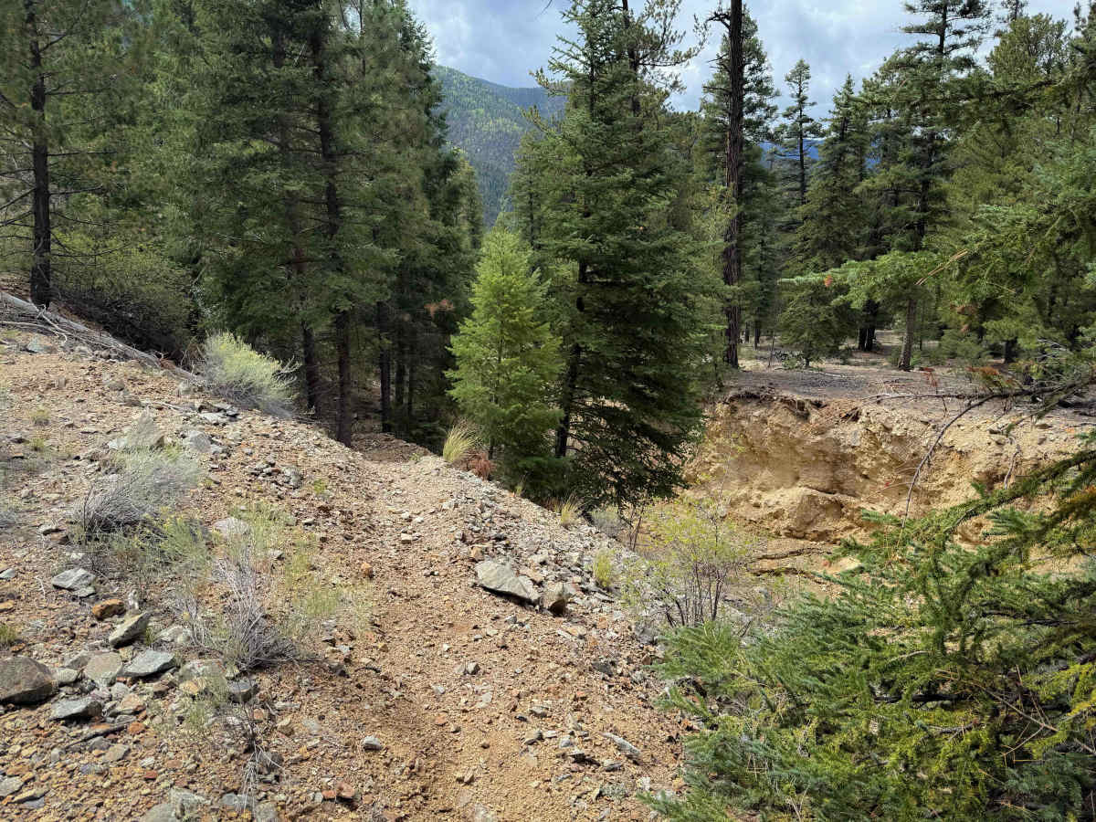 FS 195S Primitive Trail photo 6