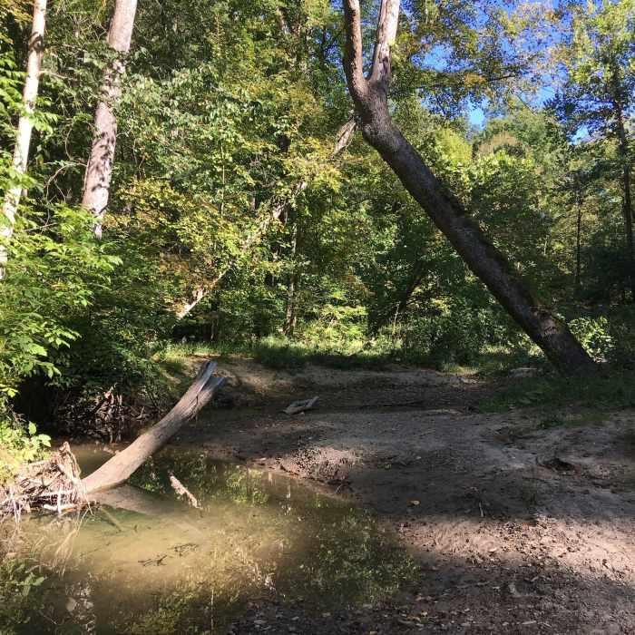 Stream crossing, low water. Near Valley Trail