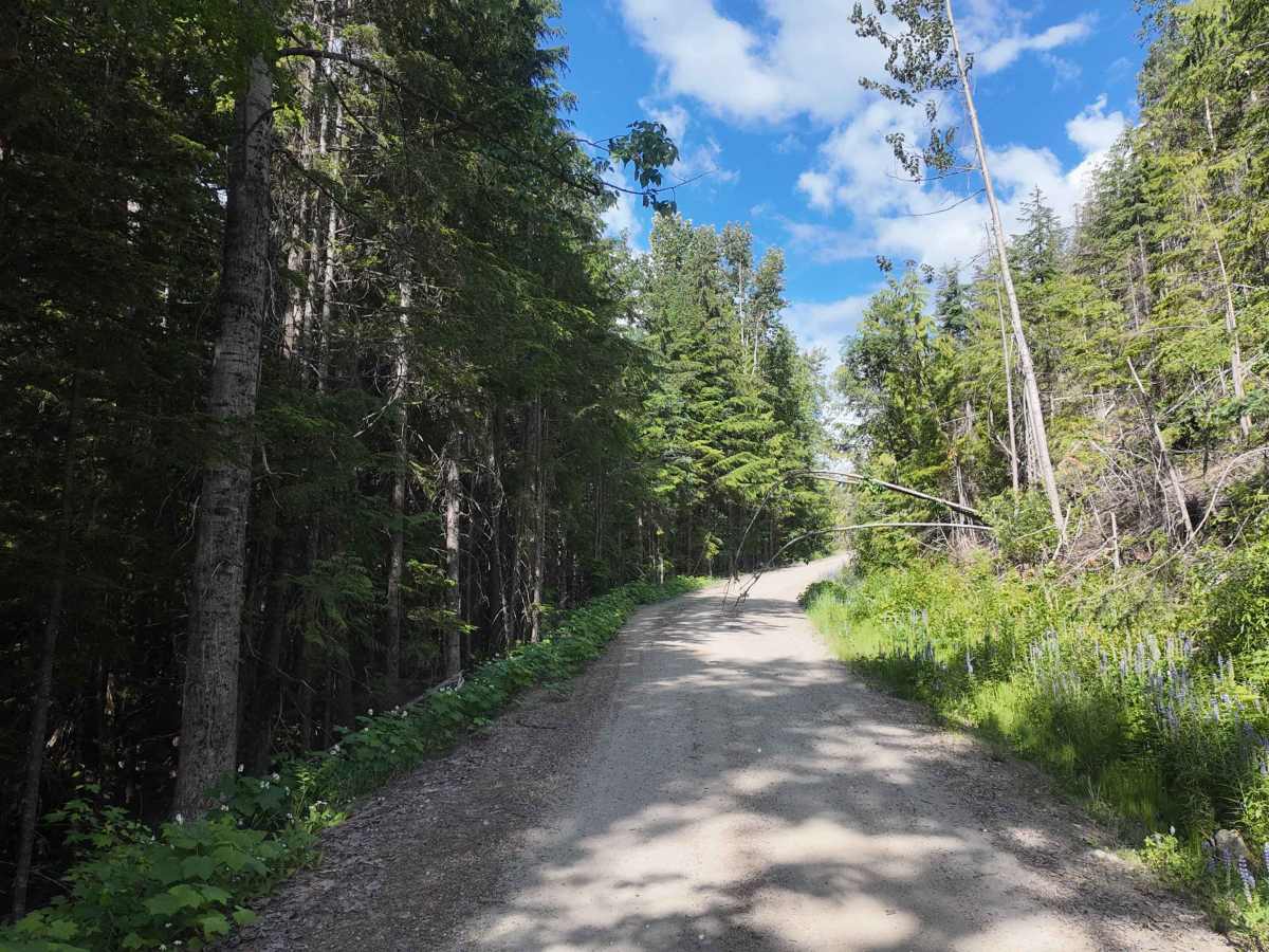Trout Creek of the Selkirk photo 5