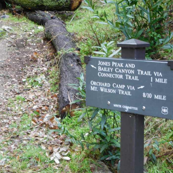 Near Jones Peak Saddle Connector