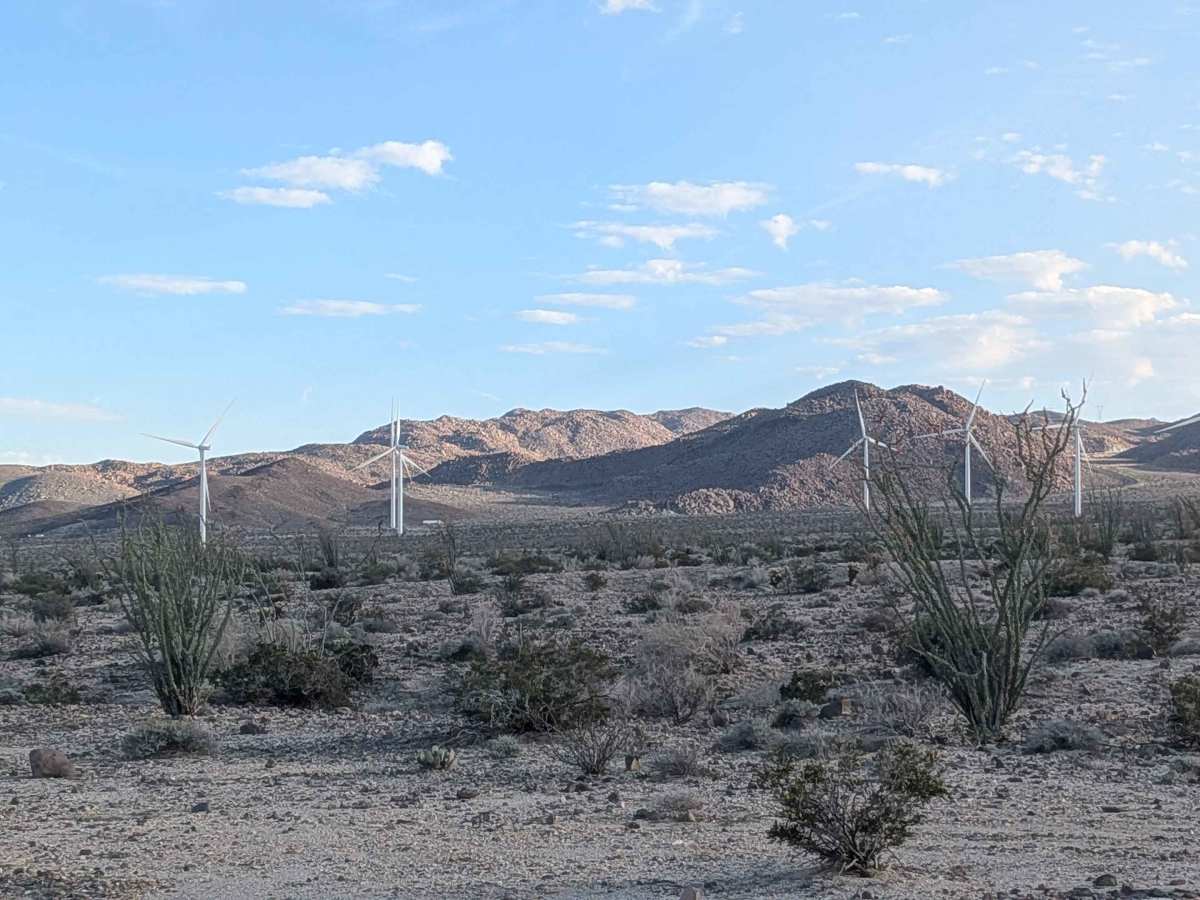 BLM 109 photo 3