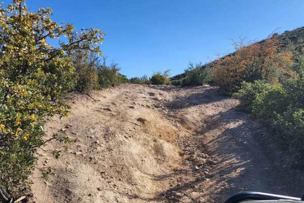 Jack Pine Road