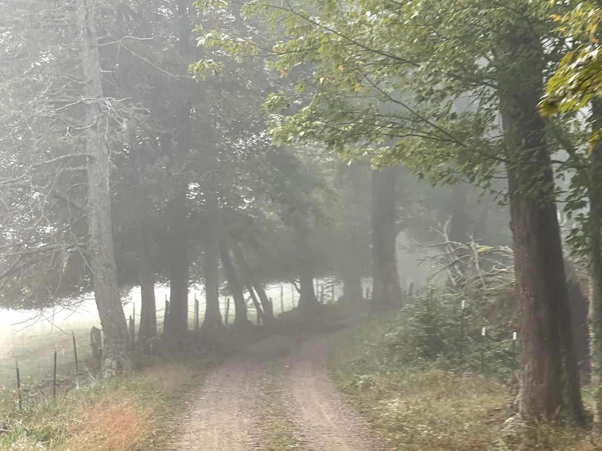 Long Ridge Road photo 4