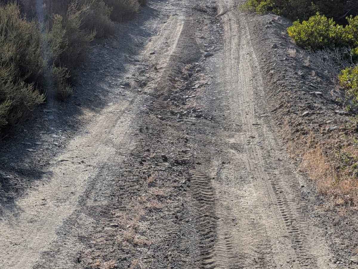 Goods Gulch Road - FS 31N38 photo 5