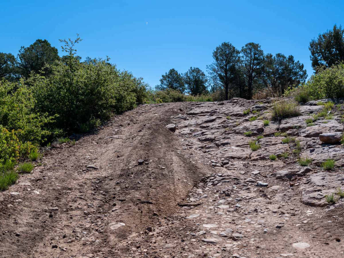 Cedar Mesa - FS 322 photo 3