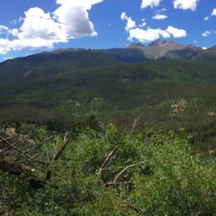 Near Bierstadt Lake Trail