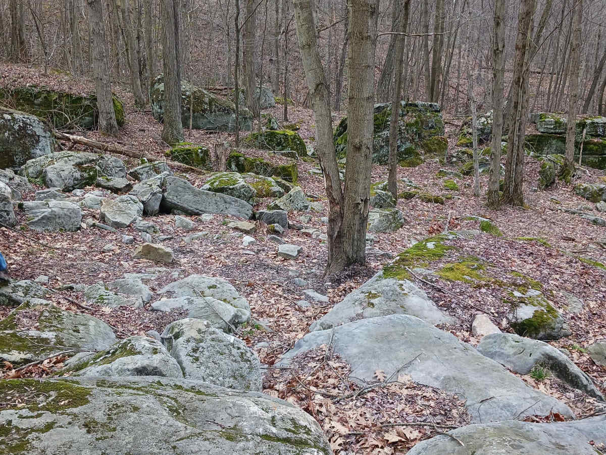 OHV 63 - Rock Run Recreation Area photo 5