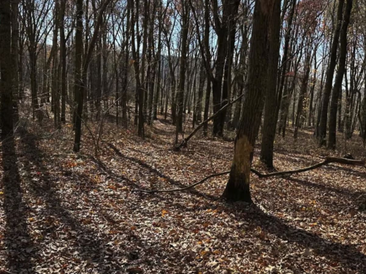 Ashland 27 photo 5