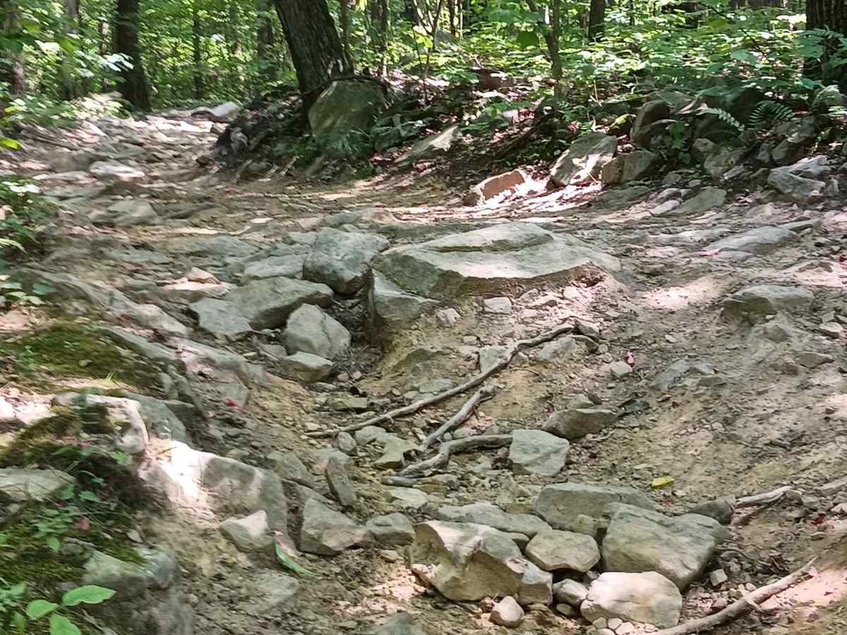 Cherry Run - Rock Run Recreation Area photo 6