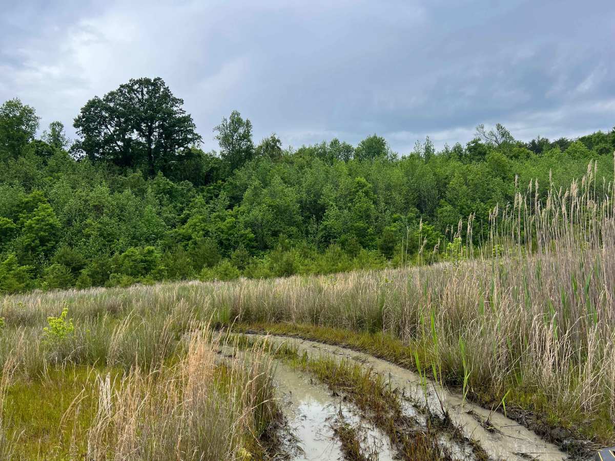 Q50A trail photo