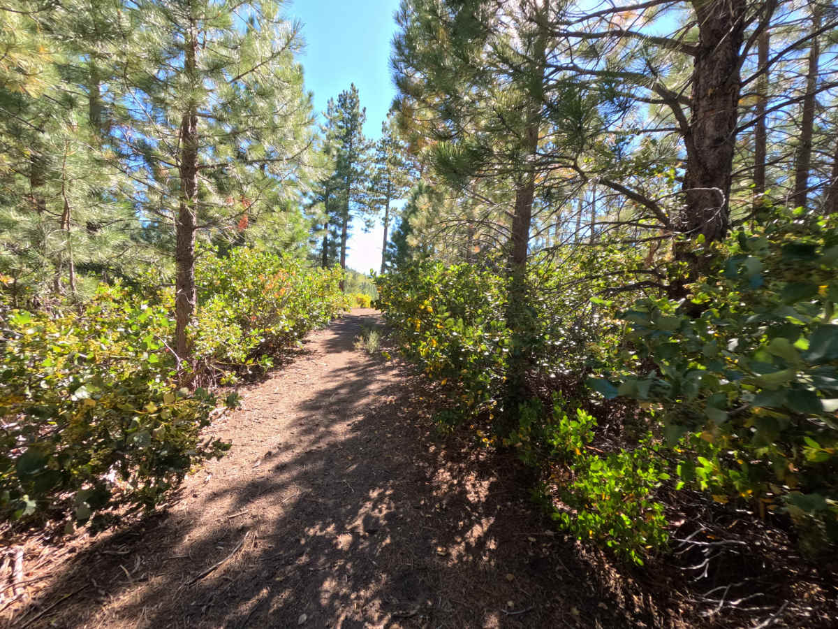Cottonwood Creek - FS 0089-060 photo 4