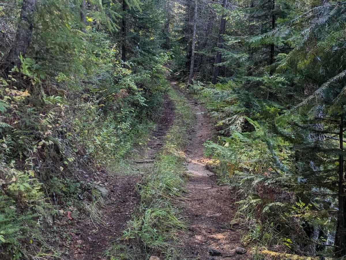 Fish Butte Saddle photo 3