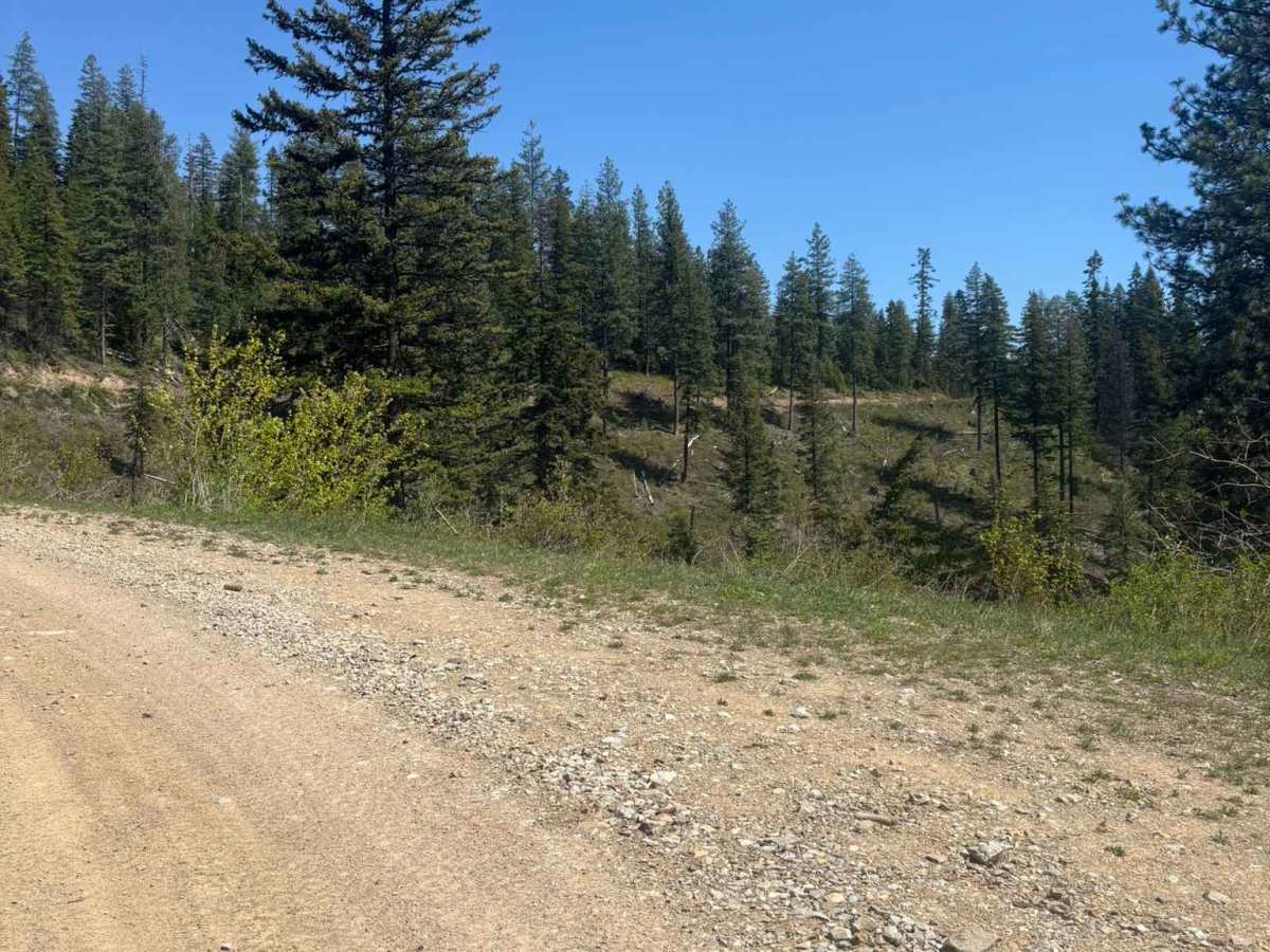2 Mile Road photo 3