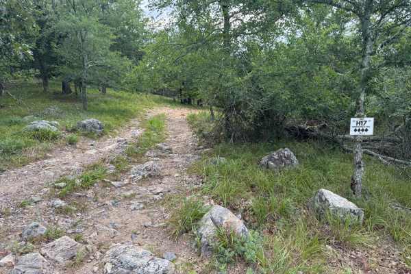 H17 Windshield Hill