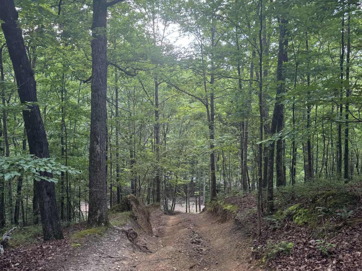 L5 Fox Run photo 3