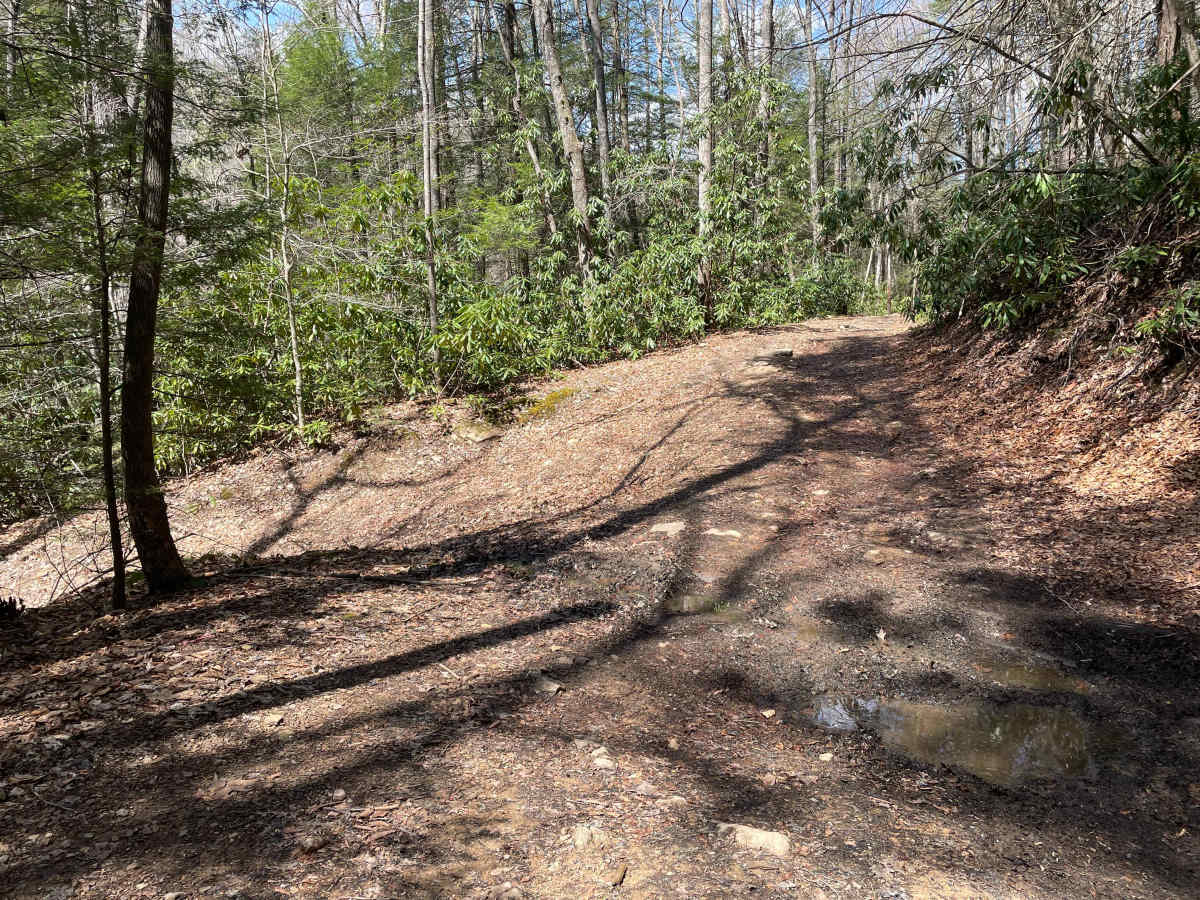 Meadow/Gauley Access Trail photo 4