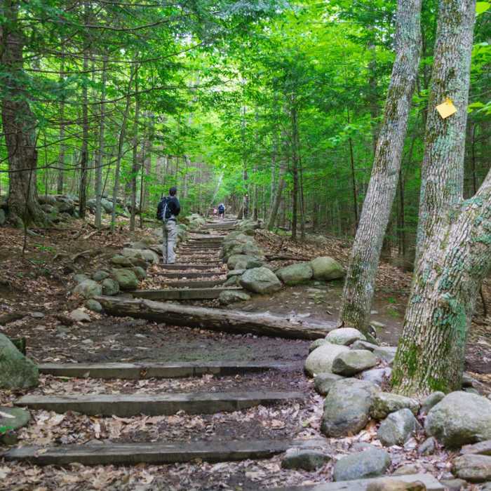 Near Rattlesnake Near Rattlesnake