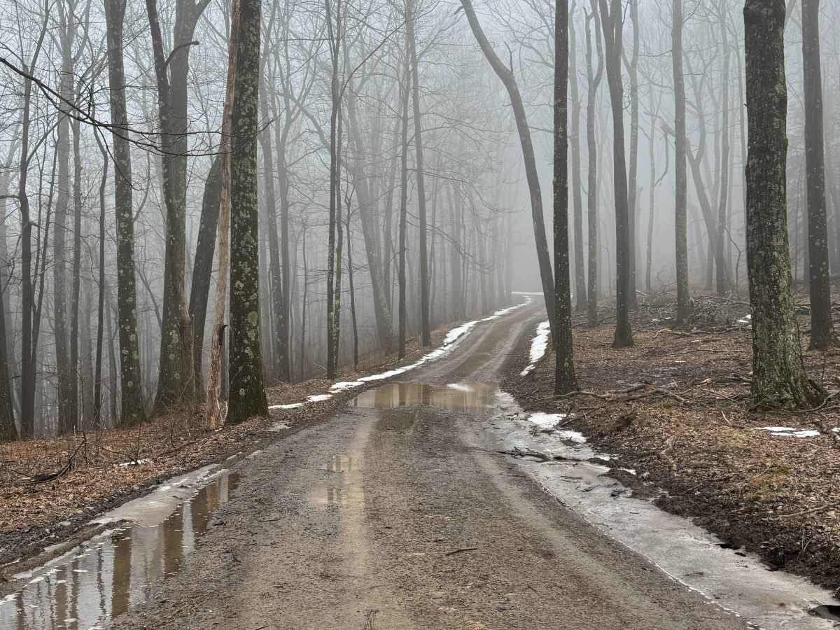 Benjamin Run Road photo 3