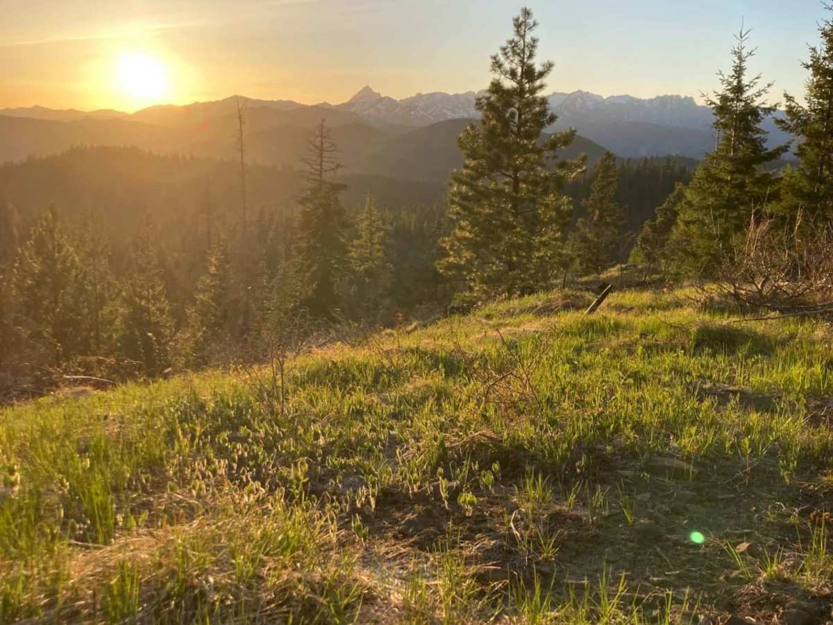 View for Days trail photo