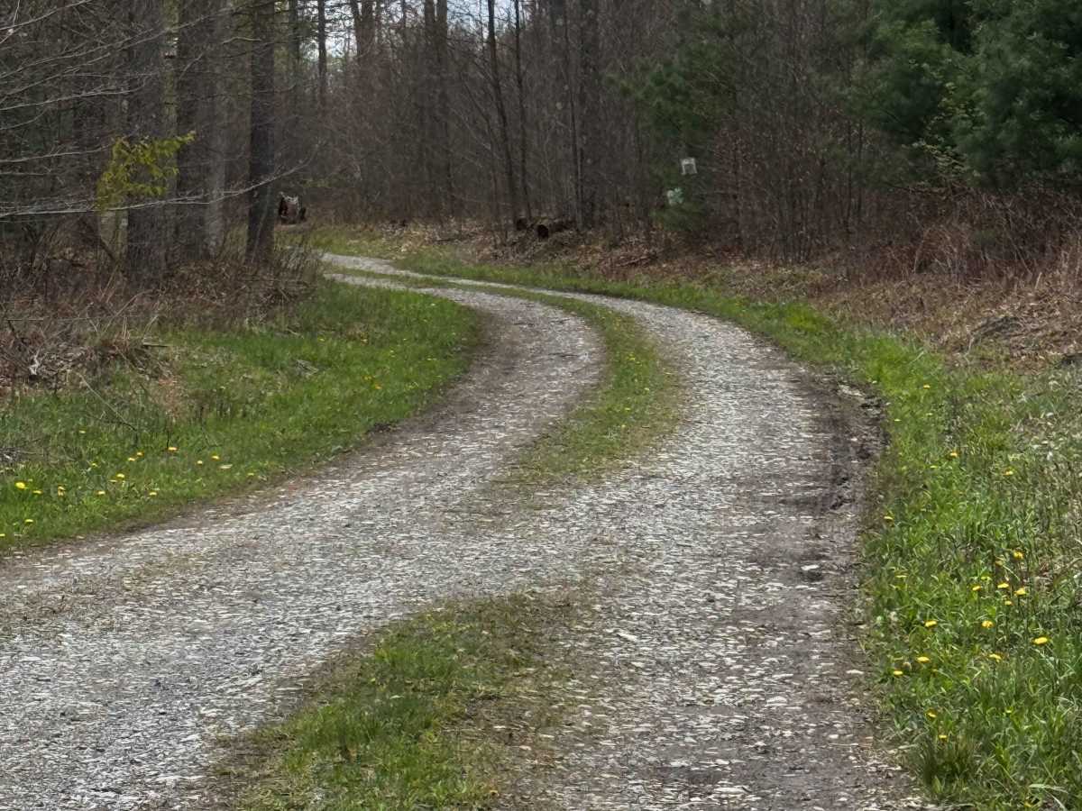 Little Daugherty Road photo 4