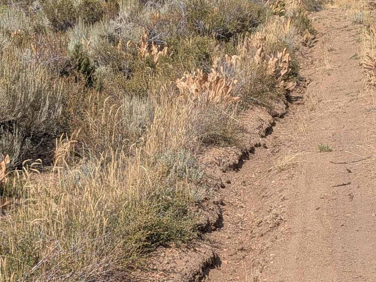 Cameron Canyon photo 2