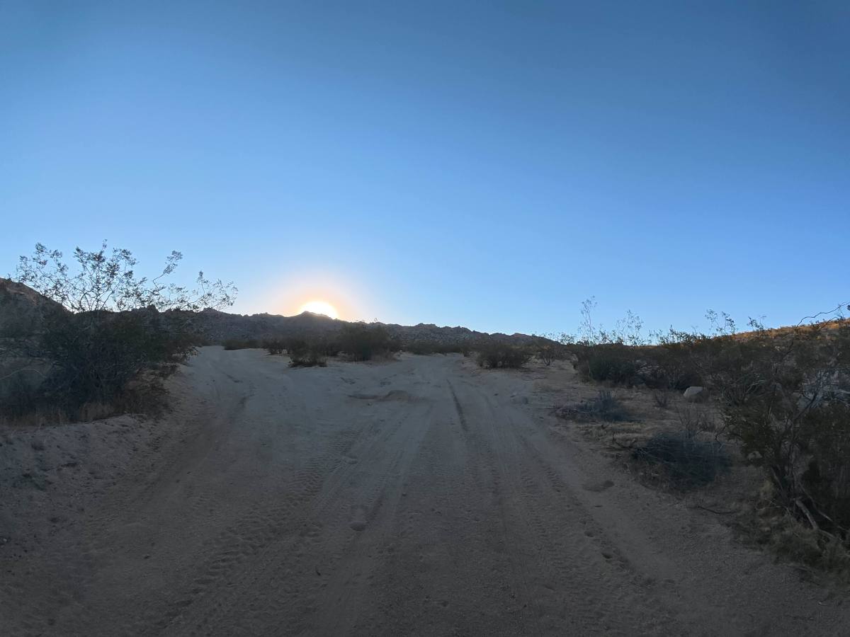 BLM SV2611 photo 6