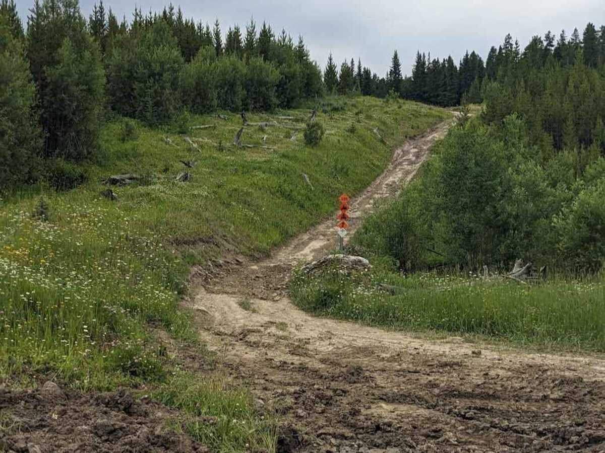 Lyons Creek Loop - Trail 105/102 trail photo