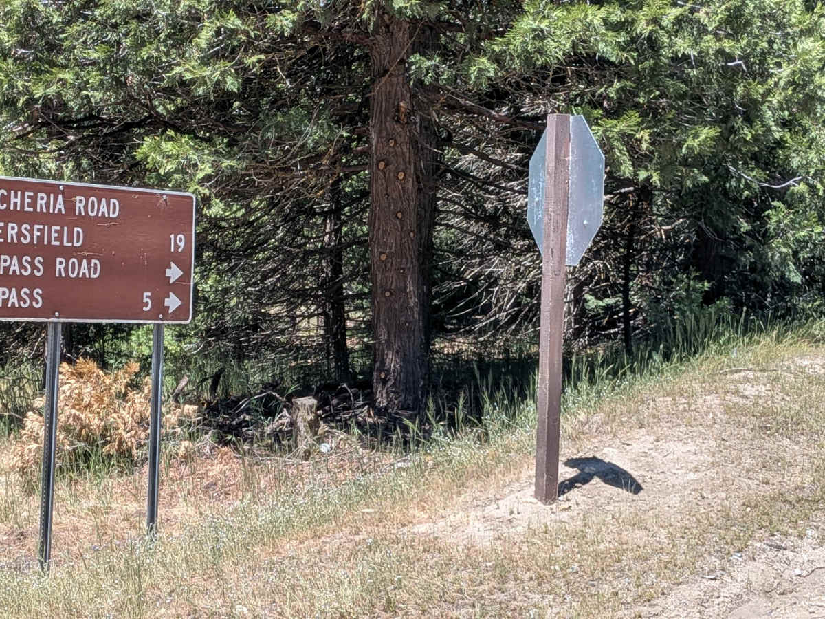 Pettit - FS 26S37 trail photo