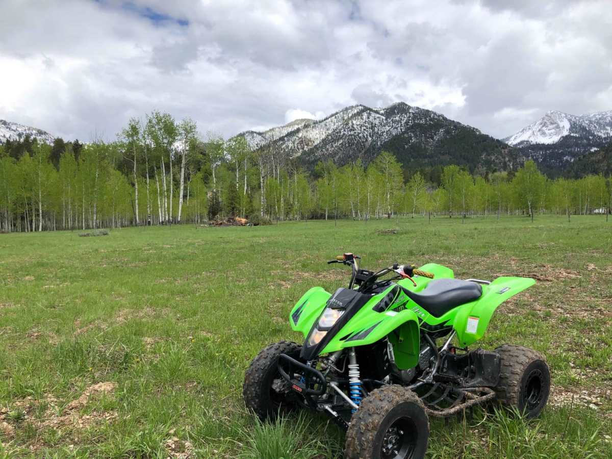 Stewart Trail photo 4