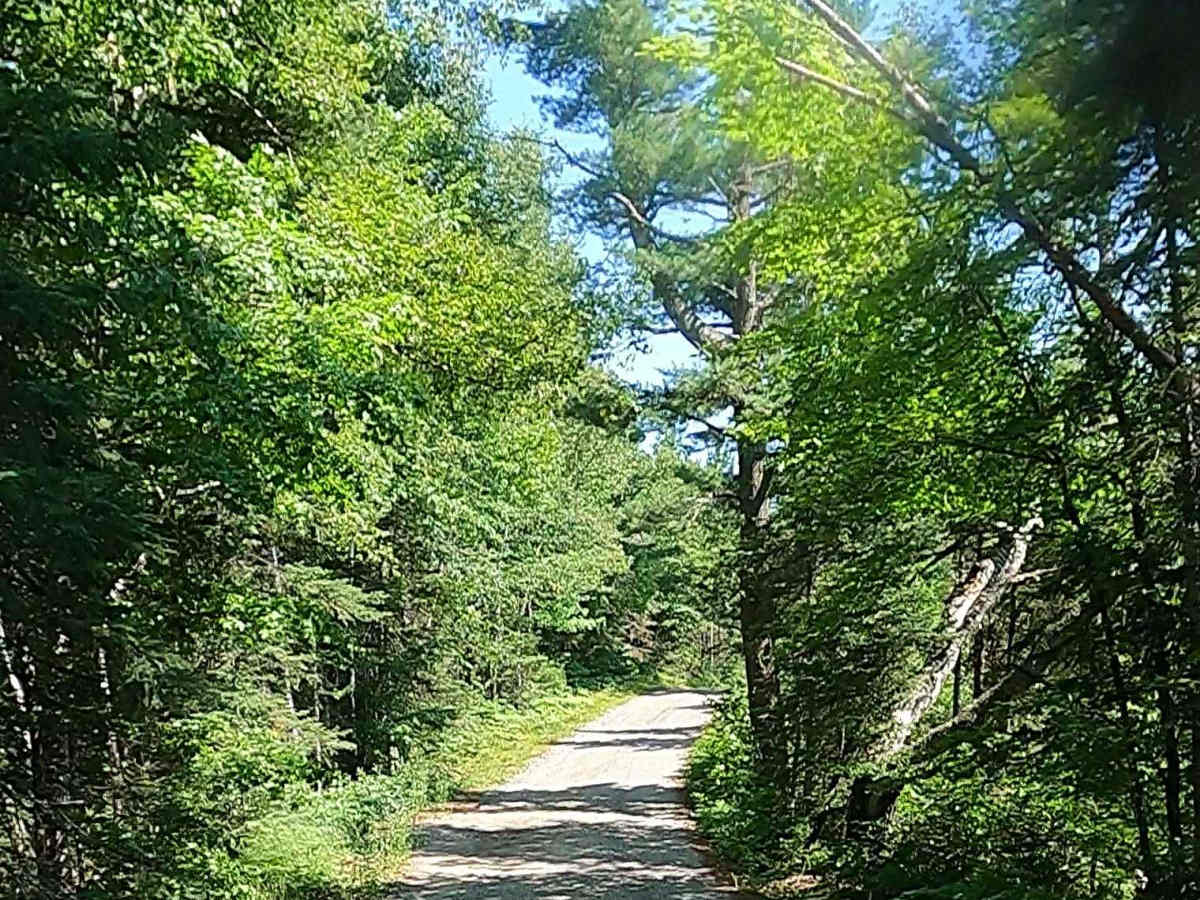 North Nestoria Road photo 2