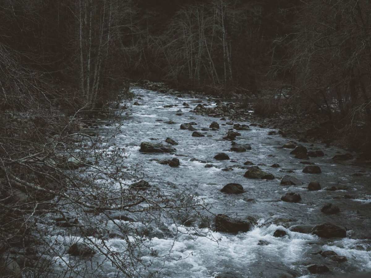North Fork Road trail photo